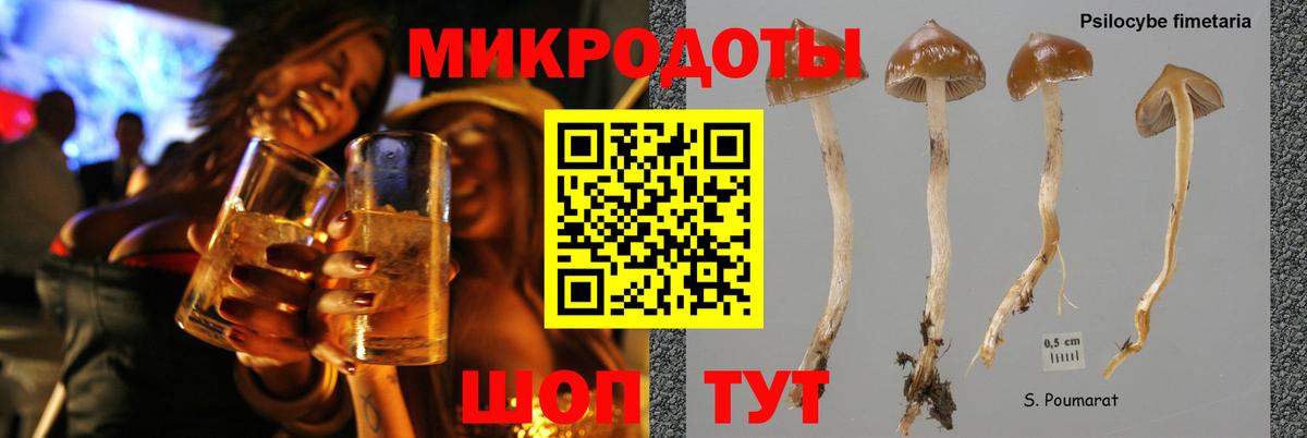 где купить наркоту  Галлюциногенные грибы Psilocybe  Вход с VPN  Мыски 